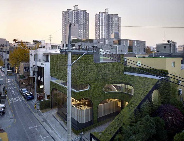 zelenaya_architektura.jpeg zelenaya_architektura.jpeg